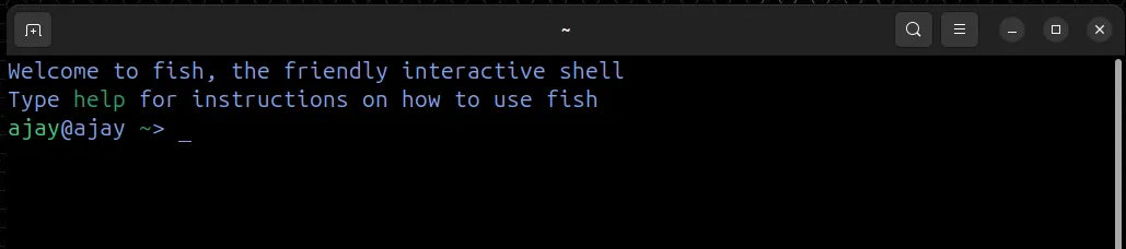 Fish shell on first launch