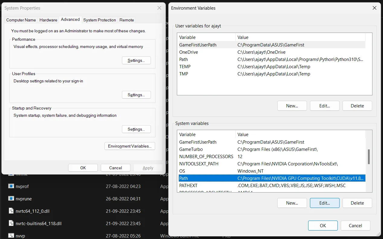 System env vars
